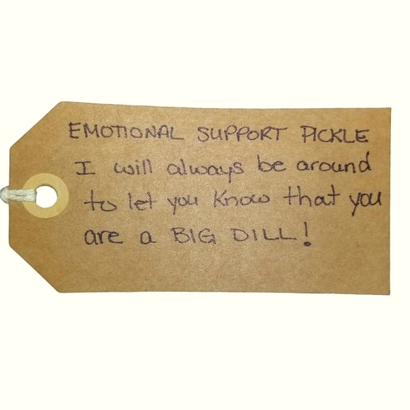 EMOTIONAL SUPPORT PICKLE New Handmade Crochet - Picture 3 of 3